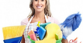 Как вывести клопов, поселившихся в доме?