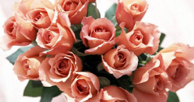 Секреты сохранности свежих цветов