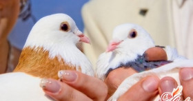 Символ любви и счастья – какой он?