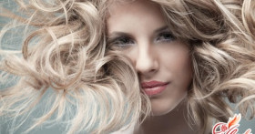 Сухие ломкие волосы – как вернуть их к жизни