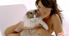 Уход за кошкой после стерилизации, или Первая ветеринарная помощь