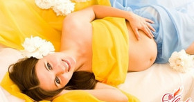 Кошки и беременность: о чем должна помнить будущая мама