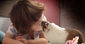 Детская болезнь: свинка