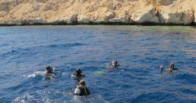 Чем отличаются дайв-сайты Хургады, Шарма и Дахаба