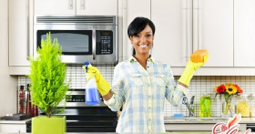 Избавляемся от пищевой моли: эффективные методы и средства