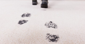 Чем опасны грязные домашние ковры?