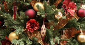 Уход за елкой