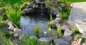 Декоративный огород: гармония пользы и красоты