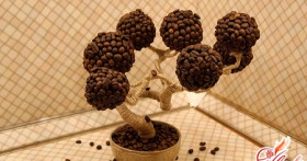 Топиарное искусство – кофейное деревце своими руками