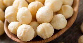 Польза и вред ореха макадамия