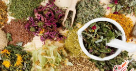 Лечение травами при варикозе