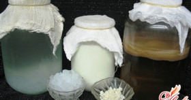 Чем полезен рисовый гриб?