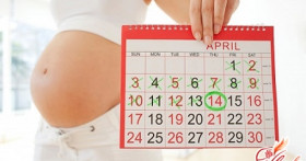 Способы определения и планирования пола ребенка