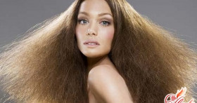 Сухие волосы: что делать с безжизненными прядями?