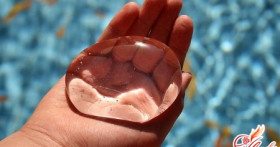 Значение воды в жизни человека – «потому что без воды…»