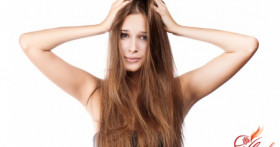 Как применять оливковое масло от перхоти?