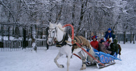 Новогодние каникулы