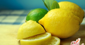 Лимон комнатный: уход за экзотическим растением