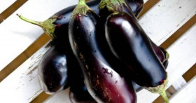 Полезны ли баклажаны при панкреатите?