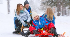 Проведем новогодние каникулы с пользой