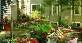 Зимний сад своими руками: оборудуем уголок для отдыха