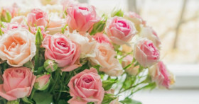 Розы: нежный и роскошный букет для любого случая