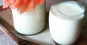 Польза и вред молочного гриба