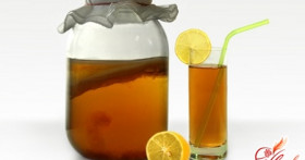 Чайный гриб – польза и вред популярного напитка