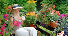 Украшаем фасад дома: цветы на балконе