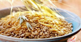 Овес для красоты вашего тела