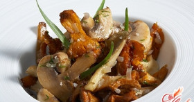 Рецепт фрикасе из курицы с грибами