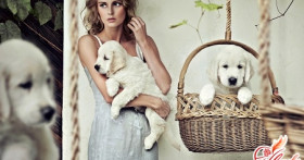 Любовная зависимость: признаки эмоционального неблагополучия