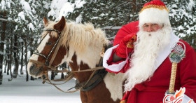 Новогодние персонажи