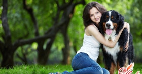 Аллергия на собак – не приговор!