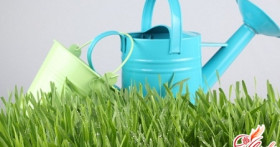 Уход за газоном весной. Просыпаемся!