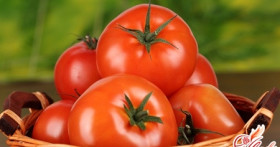 Готовимся к будущему урожаю: как вырастить рассаду помидор