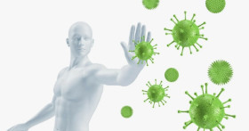 Иммунитет: невидимый щит нашего организма
