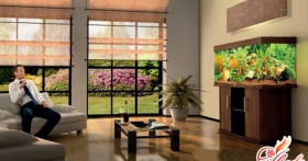 Как расположить аквариум в интерьере квартиры