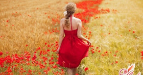 Дисфункция яичников – приводим организм в норму