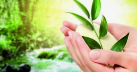 Органический рай: путешествие в мир чистоты и натуральности