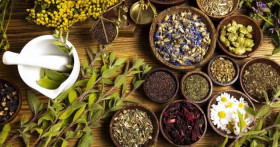 Полезные травы при панкреатите