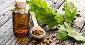 Как используется кора дуба при поносе