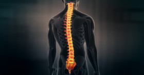 Клиника лечения позвоночника и суставов Доктора Длина