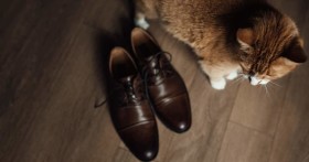 Как правильно ухаживать за кожаной обувью
