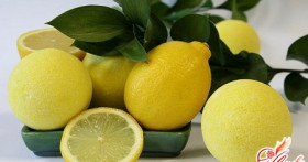 Домашний лимон: уход, пересадка и размножение