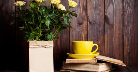 Как правильно ухаживать за розой в горшке