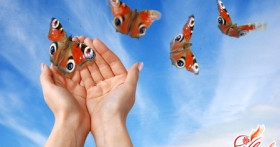 Как развить воображение и творческий подход к жизни