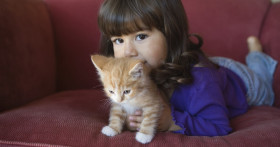 Новорожденный ребенок и кошка – радость или головная боль?