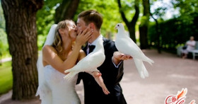 Свадебные суеверия и приметы