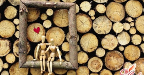 5-летний юбилей свадьбы